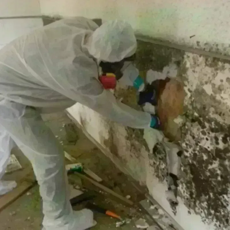 Mold Remediation and Removal in Lakes of the Four Seasons, IN